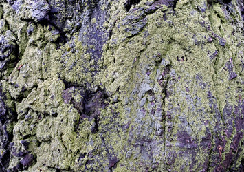 Similar image 20082882