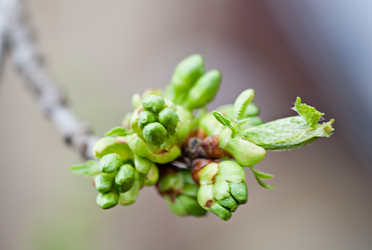 Similar image 20112334