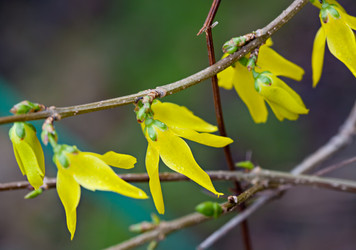 Similar image 20112335