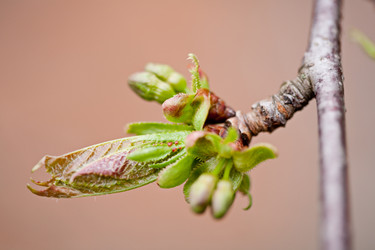 Similar image 20112336