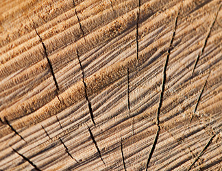 Similar image 20112338