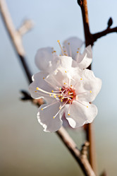 Similar image 20112339