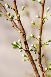 Similar image 20112343