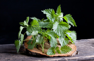 Similar image 20112363