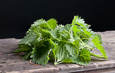 Similar image 20112364