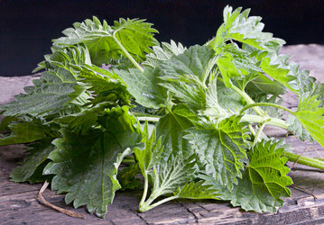 Similar image 20112365