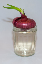 Similar image 19951108