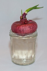 Similar image 19951109