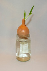 Similar image 19951110