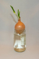 Similar image 19951111