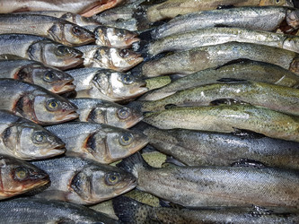 Similar image 19951143