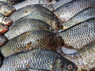 Similar image 19951112