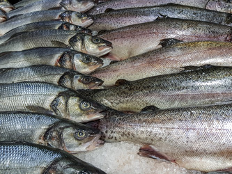 Similar image 19951113