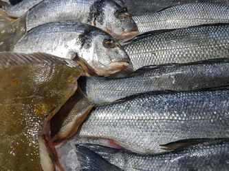 Similar image 19951114