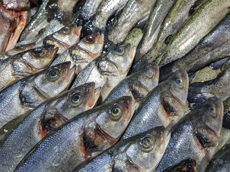 Similar image 19951115