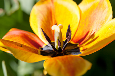 Similar image 20112376