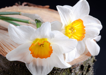 Similar image 20112378