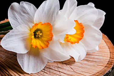 Similar image 20112380