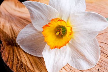 Similar image 20112382