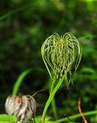 Similar image 20058843