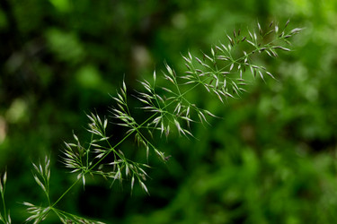 Similar image 20058844