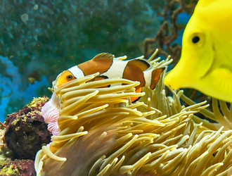 Similar image 20058847