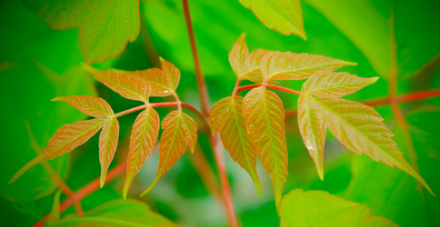 Similar image 20058869