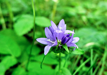 Similar image 20058870