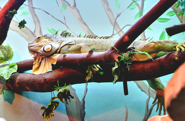 Similar image 20058871