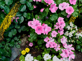 Similar image 20058883