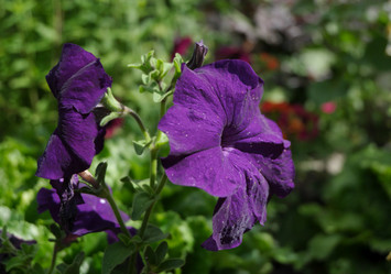 Similar image 20058899