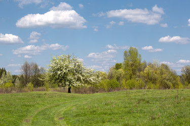 Similar image 20107531