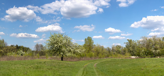 Similar image 20107532