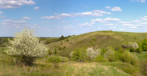 Similar image 20107533