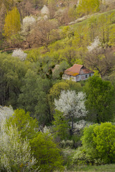 Similar image 20107535