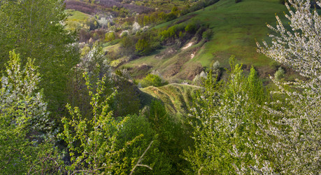 Similar image 20107538