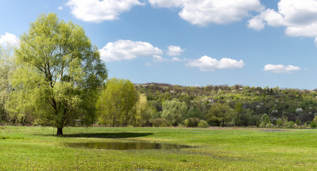 Similar image 20107540