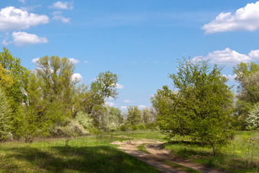 Similar image 20107604