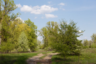 Similar image 20107645