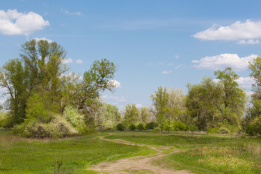 Similar image 20107553