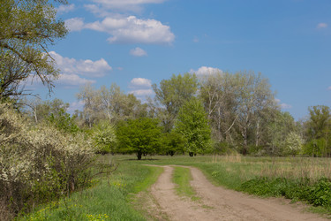 Similar image 20107557