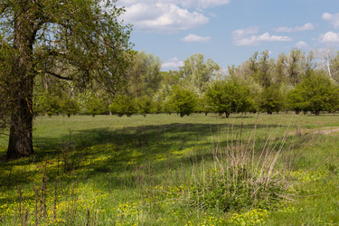 Similar image 20107558