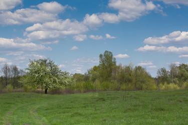 Similar image 20107588