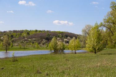 Similar image 20107579