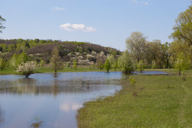 Similar image 20107580