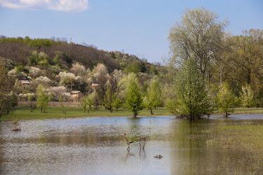 Similar image 20107581