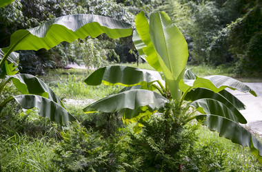 Similar image 20166369