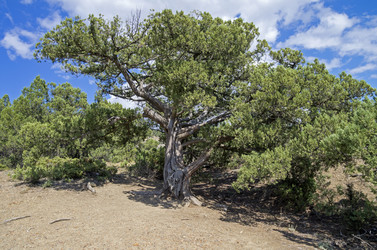 Similar image 20106338