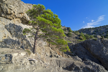 Similar image 20106349