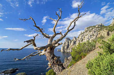 Similar image 20106351